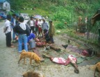 A group of people decide to butcher their carabao using one lane of the road