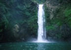 Clear water pounds over the waterfall; the ferns on the rock walls of the amphitheatre undulated from the wind created by the falling water